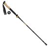 Picture of CARBON SKYE FZ WALKING POLE